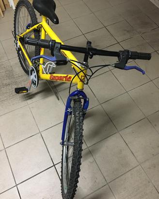 Mountain bike