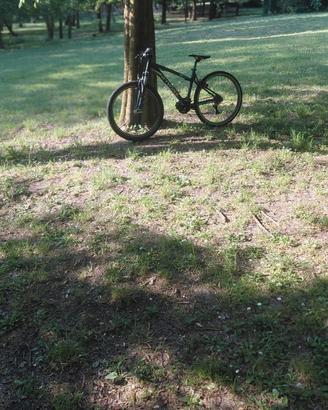 Bici rockrider 340 mtb