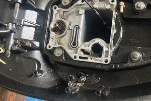 Motore fuoribordo Parsun 15hp