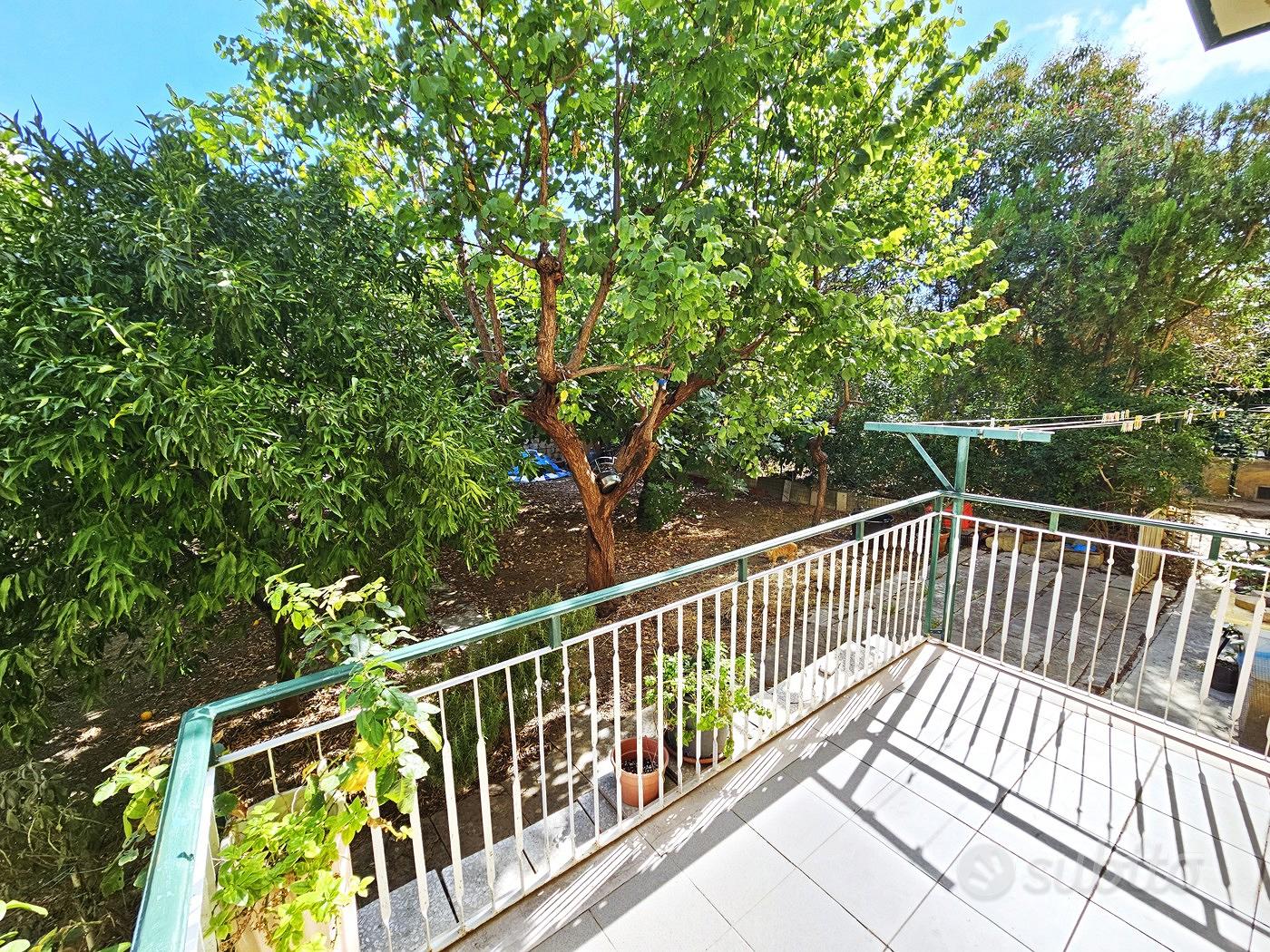 Appartamento – San Severo, Foggia - Vista 5