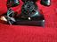 Immagine 1