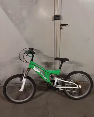Mountain Bike ragazzo "storm armadillo"  20