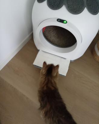 Lettiera automatica Devoko XXL