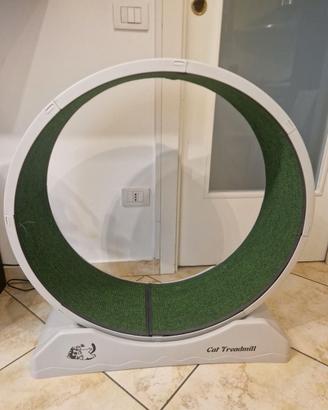 Ruota per gatto
