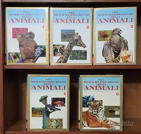 Nel meraviglioso mondo degli Animali Enciclopedia