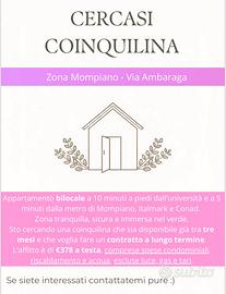 Stanza singola a Mompiano bilocale condiviso