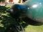 Immagine 2