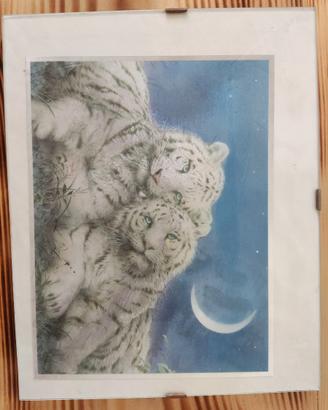 Quadro tigre bianca