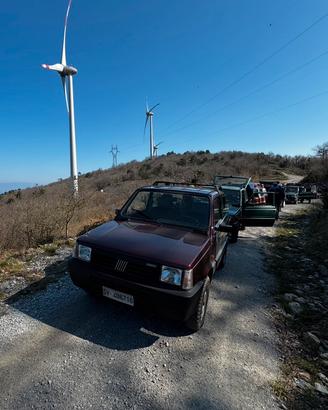 Fiat Panda 4X4 Scioneri