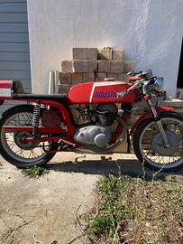 MV Agusta 125. e 2 MV Agusta350
