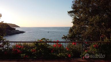 Villa sul mare Isola d'Elba