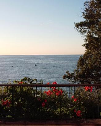 Villa sul mare Isola d'Elba