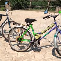 Bici mountain bike 28" Torpado Airolg