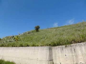 RGE 145/2012 Trib Patti - LOTTO 2