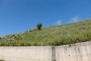 RGE 145/2012 Trib Patti - LOTTO 2