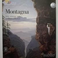 Montagna arte scienza mito da durel a warhol