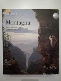 Montagna arte scienza mito da durel a warhol