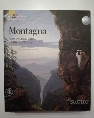 Montagna arte scienza mito da durel a warhol