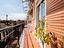 Immagine 11