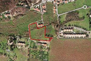 Terreno agricolo - Fabrica di Roma (Loc. Barco)