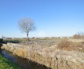 TER. AGRICOLO A MUSILE DI PIAVE