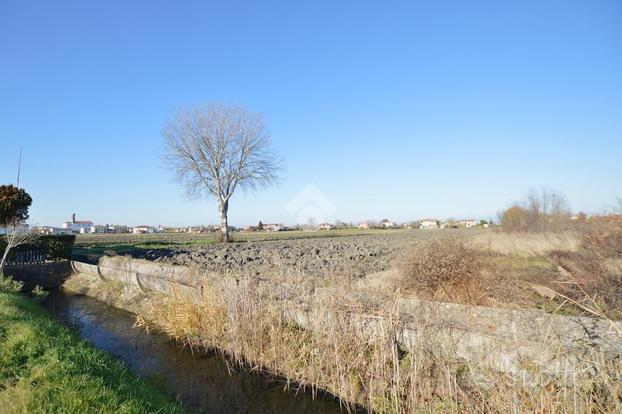 TER. AGRICOLO A MUSILE DI PIAVE