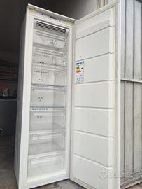 FREEZER A COLONNA
