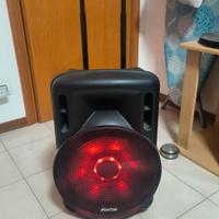 Cassa amplificata fenton