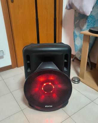 Cassa amplificata fenton