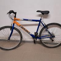Bicicletta Mountain bike 