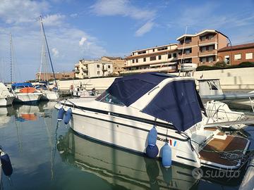 Wellcraft monaco 30 volvo penta ad41b 290 duoprop