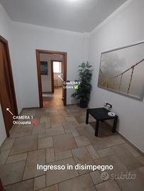 Via Diocleziano, centralissima