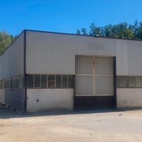 Capannone industriale con pertinenze