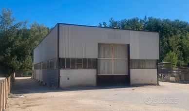 Capannone industriale con pertinenze