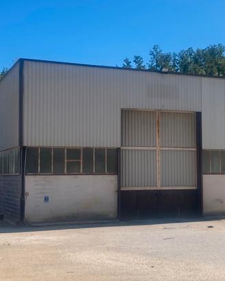 Capannone industriale con pertinenze