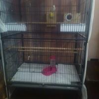 voliera accessoriata 