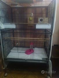 voliera accessoriata 