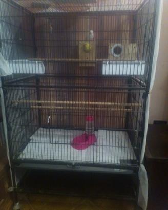 voliera accessoriata 