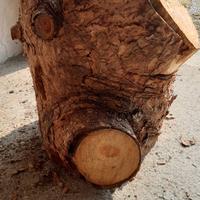 Ceppo di legno grezzo Cm. 50X45X40