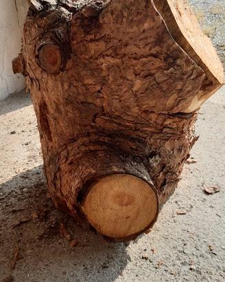 Ceppo di legno grezzo Cm. 50X45X40