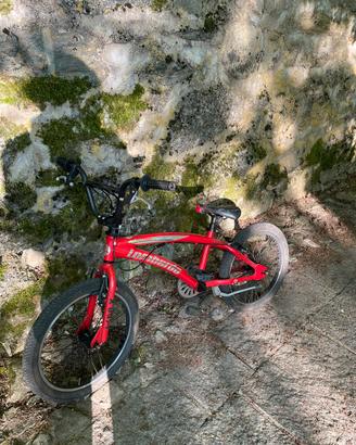 Bmx Lombardo Potenza