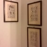 Stampe dell'800 e '900