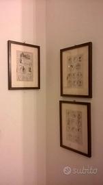 Stampe dell'800 e '900