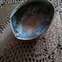 3 PEZZI ABALONE NATURALE CON PIEDINI
