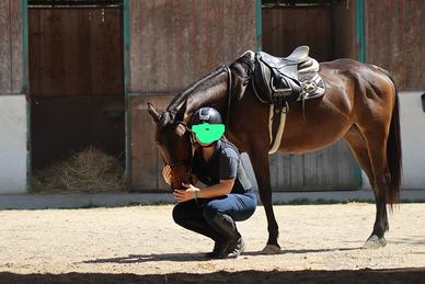 Pony 1.45