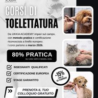 Corso formazione per toelettatore