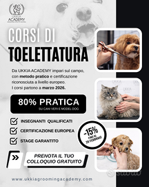 Corso formazione per toelettatore