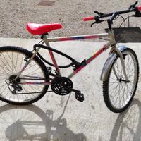 Mountain bike Girolli