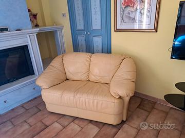 Divano ecopelle (doppia seduta)