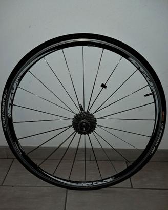 Ruote bici da corsa per inverno/rulli/muletto 10v